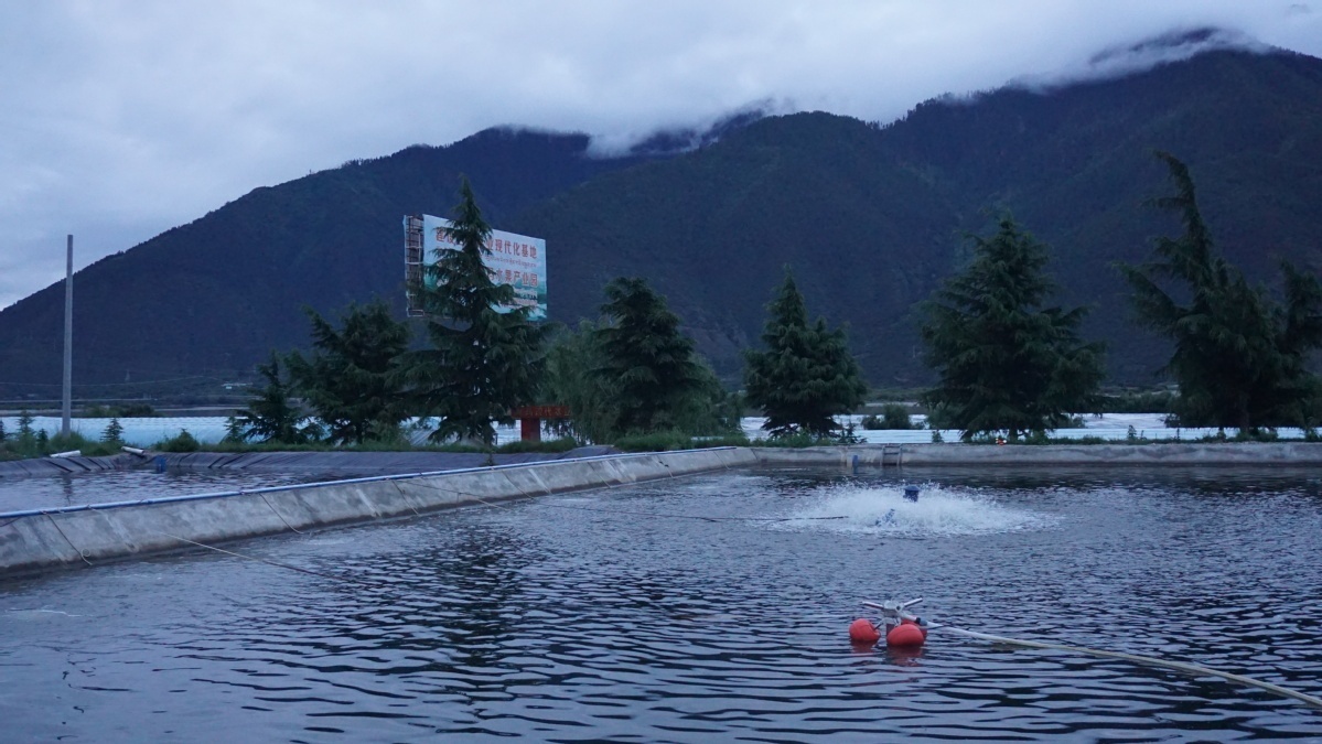 西雙版納10個(gè)經(jīng)典茶區(qū)口感特征，你喝過(guò)幾個(gè)？